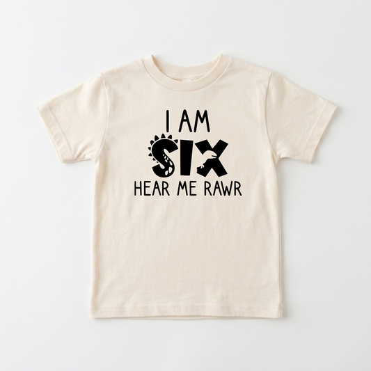 I Am Six Hear Me Rawr Kids Shirt – Dinosaur 6th Birthday Tee
