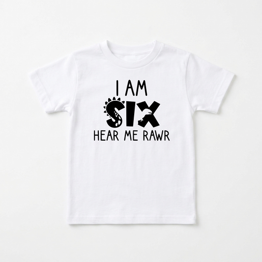 I Am Six Hear Me Rawr Kids Shirt – Dinosaur 6th Birthday Tee